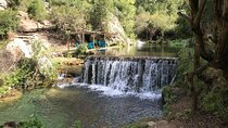 From Tangier: Day Trip to Chefchaouen and Akchour Waterfalls
