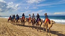 Tangier Coastal Tour: Camel Ride, Café Hafa and Coastal Views
