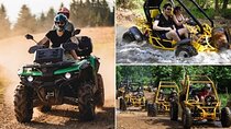 Side Quad and Buggy Safari Experience