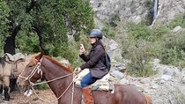 From Santiago to the Andes: 4x4, horseback riding, waterfall visit and barbecue