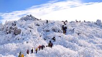 From Seoul Snow-Capped Beauty of Deogyusan National Park