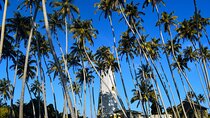 2 Nights 3 Days Tour from Colombo, Sri Lanka