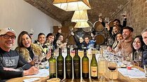 Classic Mendoza wineries with private lunch