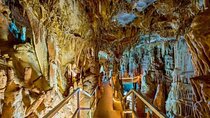 Day Tour in Petralona Cave and Chalkidiki without guide