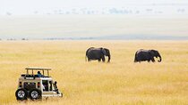 3 Days Small Group Safari to Serengeti NP and Ngorongoro Crater