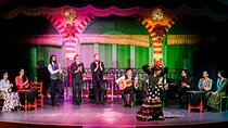 Seville Flamenco Show with Dinner and Flamenco Costume Museum