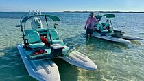 2 Hour Key West Mini Catamaran Eco Tour