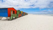 Cape Town: Private Day Trip to Cape Peninsula with a Local