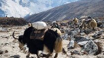 Everest Base Camp Trek from Kathmandu 12 Days