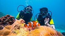 Phuket Scuba Diving: Racha Island Or Maiton Island For All Levels