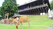 Kyoto Arashiyama Fushimi Inari Taisha Shrine and Nara Park Tour