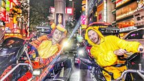 [Once-in-a-Lifetime Experience]Tokyo City Go-Kart Experience Tour