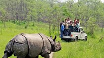 Kathmandu 2 Nights 3 Days Chitwan Jungle Safari Tour 
