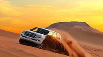 Dubai Desert Safari Thrilling Adventure Unforgettable Experiences
