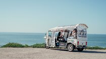 Porto Tuk Tuk: Clérigos, Seaside & Viewpoints - with Options