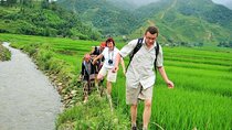Hanoi: 3-Day Sapa Trek Secret Trails, Waterfall, Stay in Villages