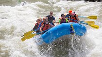 Jackson Hole Whitewater Rafting Classic from Jackson Hole,Wyoming