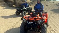 Quad tour in the palm grove desert