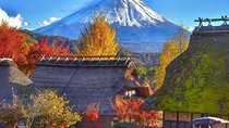 Mount Fuji Day Tour:Lake Kawaguchi, HealingVillage,Oshino Hakkai 