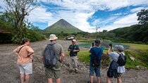 Arenal Volcano Guided Hike, Hot Springs Optional