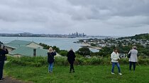 Amazing Auckland City Half Day Guided Tour 
