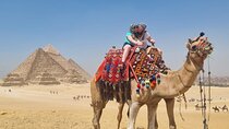 Private Tour, Giza Pyramids and the Egyptian Museum