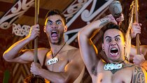 [PRIVATE] Haka to Waves Auckland West Coast Journey