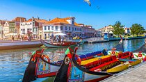 Private Half Day Aveiro Tour with Boat Ride