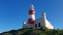 Private Cape Agulhas Tour