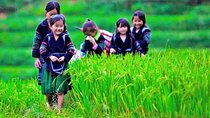 Sapa 2 Days 1 Night Overnight at Homestay Ta Van Village