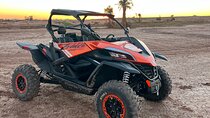 Palm grove and jbilat desert tour in 1000cc buggy