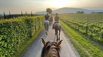 Private Horseback Riding Tour of the Vineyards in Verona with Wine Tasting