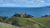 Private Txakoli Wine Tour through the Coast from San Sebastian