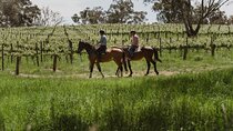 Horse Trail Ride and Wine Tasting at Adelaide Hills Winery