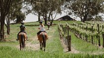Romantic Horse Trail Ride with Wine and Food in Adelaide Hills