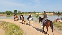 Experience Horse Ride countryside trail rides 