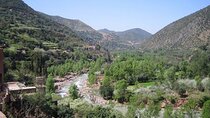 Marrakesh: Atlas Mountains Ourika Valley waterfall & Guide 