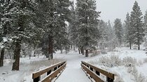Ultimate Snowplay Adventure at Mount Charleston