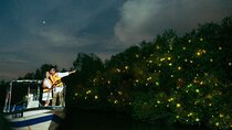 Kuala Selangor Fireflies Tour with Eagle Watching & Dinner