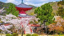Hidden Temples in Kyoto a Self-Guided Zen Tour