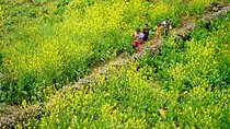 4 Days 3 Nights Ha Giang Loop Group Tour from Hanoi