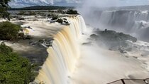 Tour 1 day: Brazilian Falls and Bird Park