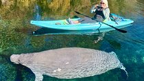 Silver Springs Premium Florida Wildlife Experience! 