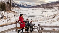 Secrets of Jasper Snowshoe Tour