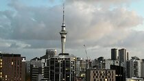 AUCKLAND CITY Full Day Tour with War Memorial Museum and Mt Eden
