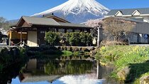 Private Tour to Mt Fuji and Hakone with English Speaking Driver