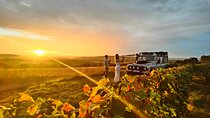 Sunset and champagne tasting DE the vineyards