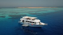 El Gouna Full-Day Snorkeling Tour with Equipment