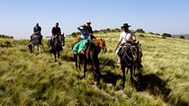 Horseback ride in a Gaucho's ranch -Off the beaten path