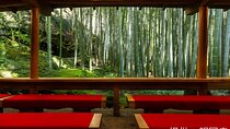 Kamkura: Private Zazen, Matcha at Bamboo Temple & Mindful Cuisine